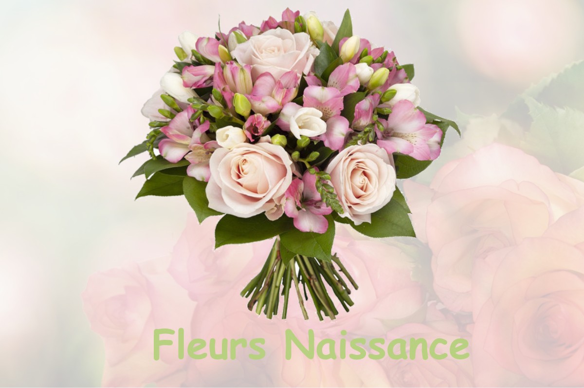 fleurs naissance BISSY-SUR-FLEY